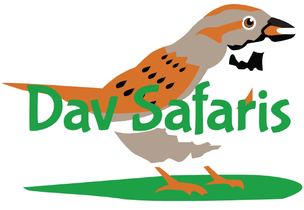 Dav Safaris